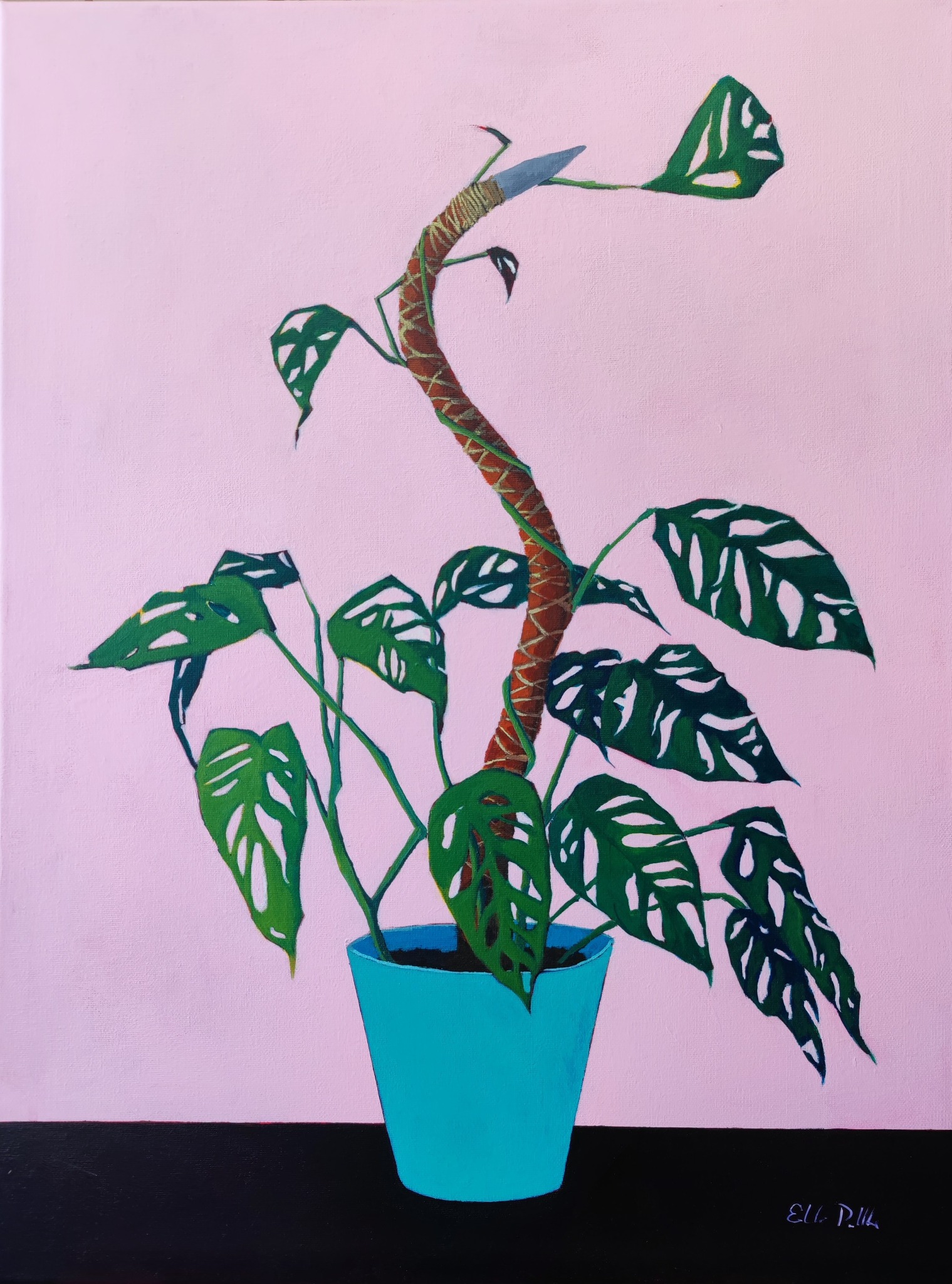 Swiss Cheese Monstera print — Guayo Studio